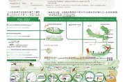 咸安区失地补贴申请指南，政策解读、流程详解与权益保障