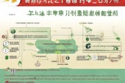 山东省午餐补贴申请全攻略，条件、流程、材料一文读懂