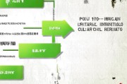 国家非物质文化遗产资金补贴申请全攻略，从政策解读到实操指南