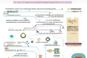陕西人才补贴申请全攻略，政策解读、流程指南与常见问题解答