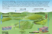 江门市农业补贴申请全流程指南，从政策解读到资金到账