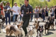 训犬师如何精准获客？这5个方法让你的宠物训练业务爆满！