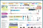 薪税师补贴申请指南，政策解读、条件与流程全解析