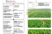 蒙城县种植补贴申请全攻略，政策解读、流程指南与注意事项