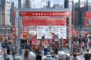 抗击肺炎购车补贴申请指南，政策红利助力消费复苏与民生保障