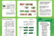 南昌蔬菜补贴申请指南，政策解读、流程详解与实用贴士