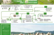 养羊补贴申请全攻略，政策解读、流程指南与注意事项