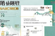 天津居家办公补贴申请指南，政策解读、流程详解与注意事项