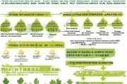 种果树补贴申请全攻略，政策解读、流程指南与实用技巧