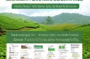 油茶种植补贴申请全攻略，从政策解读到实操步骤