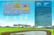 挖鱼塘补贴申请全攻略，条件、流程与注意事项详解