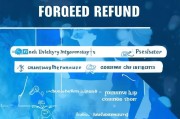 详解申请强制退款流程，保障消费者权益的指南