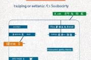 绍兴老龄补贴申请全攻略，条件、流程、材料一文读懂
