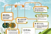 广西农机报废补贴申请指南，政策解读、流程详解与注意事项