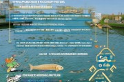 合肥养鱼补贴申请指南，政策解读、流程与实用建议