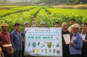 药材种植补贴申请全攻略，政策红利精准落地，助力乡村振兴