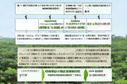 如何申请茶油树补贴？详细流程与政策解读