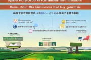 甘肃猪肉养殖补贴申请全攻略，政策红利直达养殖场，从条件到流程一文读懂