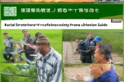 农村秸秆加工补贴申请指南，政策红利助力绿色农业与乡村振兴