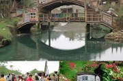 小桥连民心，补贴助振兴——农民申请修桥补贴的实践与思考