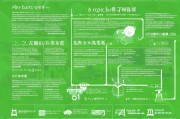 绿色能源出行补贴申请全指南，政策解读、流程详解与实用建议