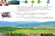 新农村旅游项目补贴申请全攻略，政策红利、流程解析与实操路径