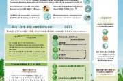 山东青菜补贴申请指南，政策解读、流程详解与注意事项