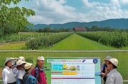玉门家庭农场补贴申请指南，政策红利直达田间，激活乡村振兴新动能