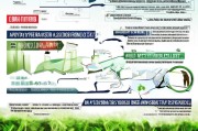 种植山豆根补贴申请全指南，政策解读、流程与注意事项