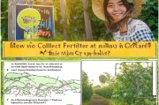 小美果园如何领取化肥？详细步骤解析