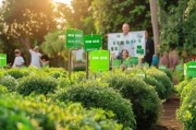 园林树木种植补贴申请，政策助力生态建设，绿色福利惠及全民