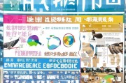 杭州企业补贴申请全攻略，政策红利、申请流程与实战技巧