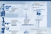 就业人员补贴申请全攻略，从政策解读到实操步骤，一文读懂如何申领