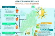 海南省能源补贴申请全流程指南，条件、步骤与注意事项