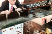 澳洲留学申请全攻略，从准备到成功入学的每一步