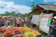 夏日清凉助农惠民，夏天水果补贴申请全攻略