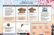 日本10万补贴申请全攻略，政策解读、条件解析与流程指南