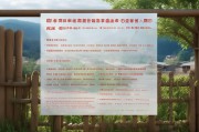 农村坟地补贴申请全指南，条件、流程与注意事项