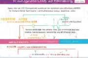 淄博社区补贴申请全攻略，条件、流程、材料一篇搞定