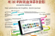 山东证书补贴申请全攻略，轻松掌握申请流程
