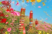 怎样才能让合肥礼物成为新年礼物