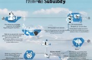 济源人才补贴申请全流程指南，从条件到补贴发放一文详解