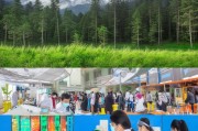 秦岭，疫苗补贴发放第一站—深圳疫苗接种点指南