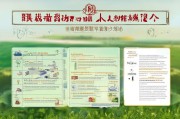 河南商丘蔬菜补贴申请指南，政策解读、流程详解与注意事项