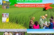红花草种植补贴申请指南，政策红利助力农业绿色发展