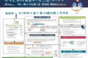 丽水人社补贴申请全攻略，政策解读、流程指南与实用贴士
