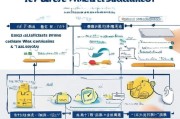 衢州社工证书补贴申请指南，条件、流程、材料全解析