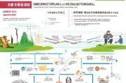 湖北出口品牌补贴申请指南，政策解读、申报流程与实战技巧