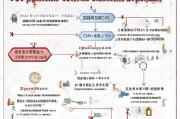 西安网课补贴申请指南，政策解读、条件流程与注意事项