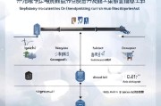 大创补贴申请全流程指南，从项目立项到资金到账的详细步骤